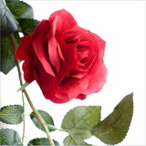 High Quality Silk Roses