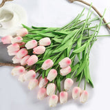 Luyue 31pcs Tulip