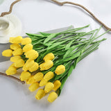 Luyue 31pcs Tulip