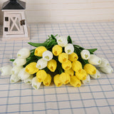 Luyue 31pcs Tulip
