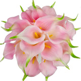 Luyue 31pcs Tulip