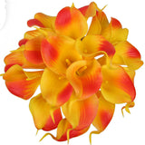 Luyue 31pcs Tulip
