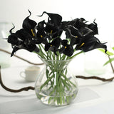 Luyue 31pcs Tulip