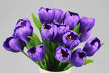 tulips flowers 9 head