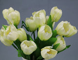 tulips flowers 9 head