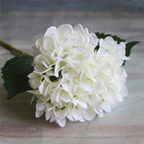 Wedding Peony Hydrangea