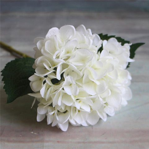 Wedding Peony Hydrangea