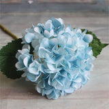 Wedding Peony Hydrangea