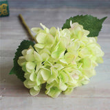 Wedding Peony Hydrangea